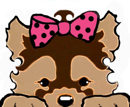 morkies for sale,shorkies for sale,maltipoos for sale,morkie puppy for sale,shorkie puppies for sale,maltipoo puppies for sale,chicago,illinois,wisconsin,morkies il,shorkie il,maltipoo il,dogs for sale,puppies for sale,dog breeds,morkie breeder il,morkie breeder wi,shorkie breeder wi,shorkie breeder il,maltipoo breeder wi,maltipoo breeder il,morkie new york,morkie breeder new york,morkie puppies for sale new york,shorkie breeder new york,shorkie breeder nyc,shorkie breeder ny,morkie breeder nyc,morkie breeder ny,shorkie puppies for sale new york,shorkie puppies for sale nyc,maltipoos for sale new york,maltipoos for sale nyc,maltipoos for sale ny,morkies for sale nyc,morkies for sale ny,shorkies for sale nyc,shorkie for sale nyc,shorkie for sale nyc,morkie for sale ny,morkie for sale nyc,maltipoo for sale ny,maltipoos for sale nyc,maltipoo puppies for sale nyc,maltipoo breeder ny,maltipoo breeder nyc,shorkies michigan,shorkie breeder michigan,morkie michigan,morkie michigan,morkie breeders nyc,morkie breeders ny,morkie breeders wi,morkie breeders illinois,morkie breeders il,morkie breeders wi,morkie breeders chicago,morkie breeders ny,shorkie breeders mi,shorkie breeders nyc,shorkie breeders nyc,shorkie breeders mi,maltipoo breeders wi,maltipoo breeders mi,maltipoo breeders michigan,maltipoo breeders il,maltipoo breeders illinois,maltipoo breeders chicago,maltipoo breeders ny,maltepoo wi,maltepoo il,maltepoo illinois